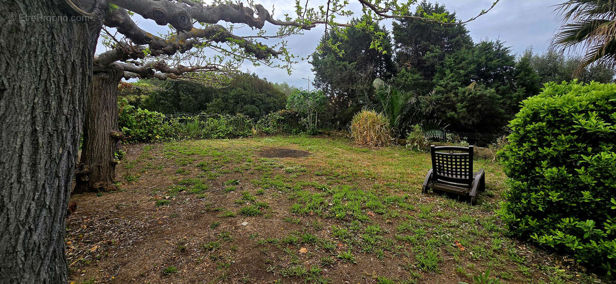 Appartement à OLMETO