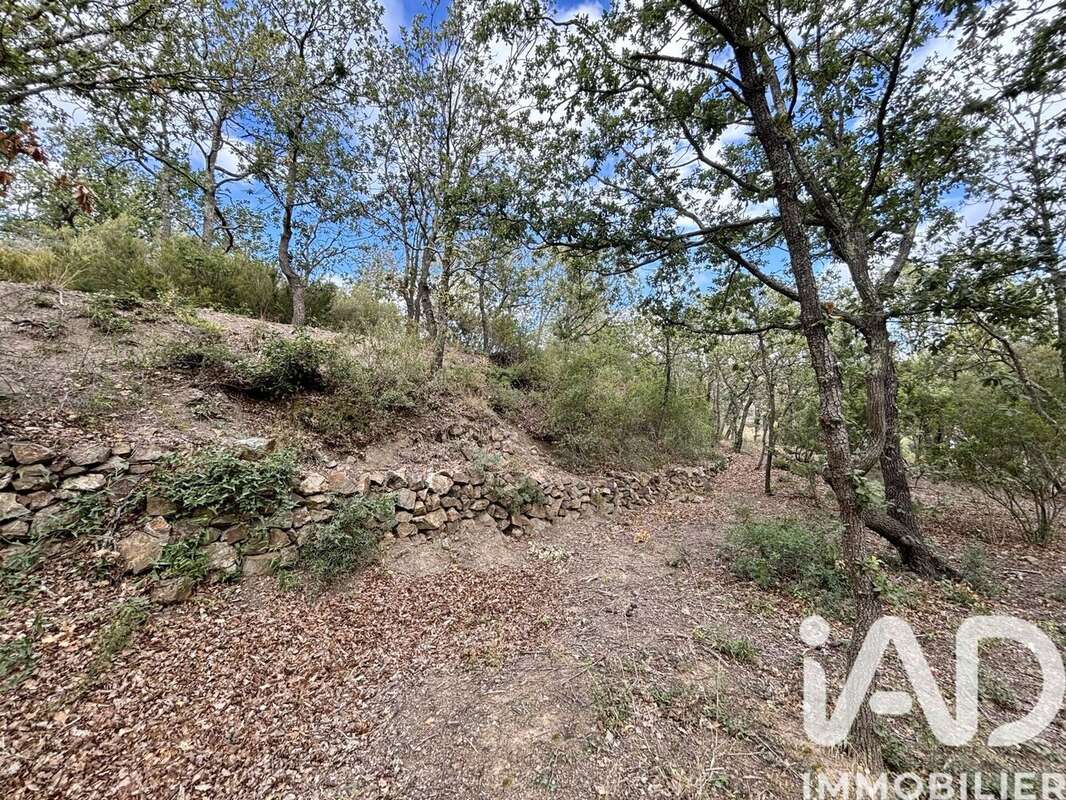 Photo 4 - Terrain à LA PALME