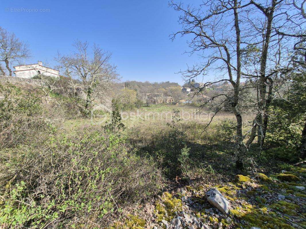 Terrain constructible - photo 11