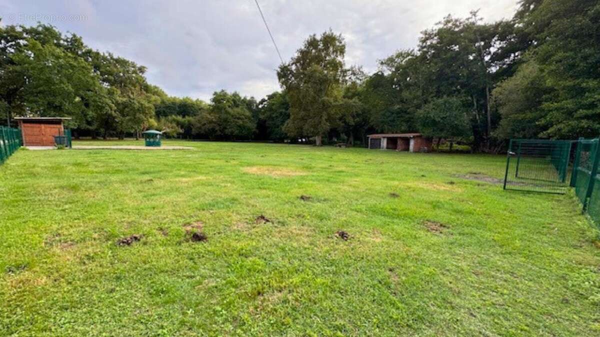 Photo 3 - Terrain à LA TESTE-DE-BUCH