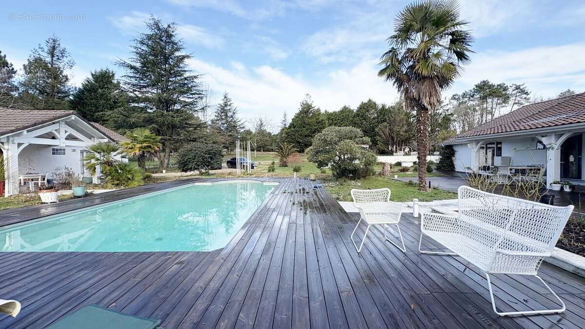 Propriété de caractère avec dépendances et piscine  Domaine de 3 hectares au calme absolu - photo 2
