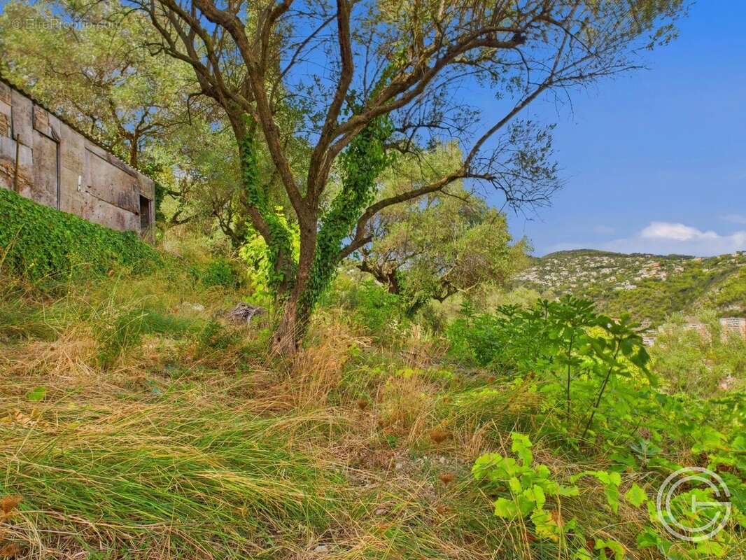 Terrain Constructible - 1.329m² - Chemin de Rimiez - ST ANDRE DE LA ROCHE - photo 4