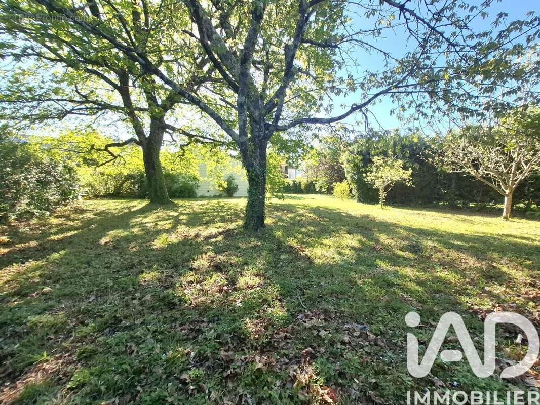 Photo 2 - Maison à MAZAMET