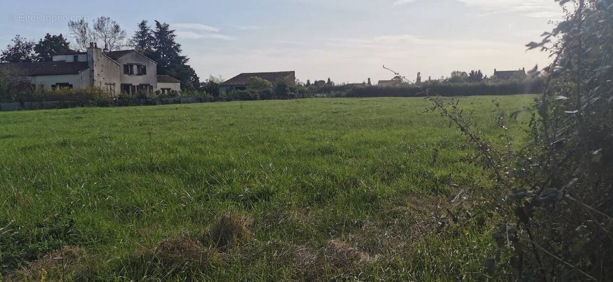 Terrain à LE MAYET-D'ECOLE