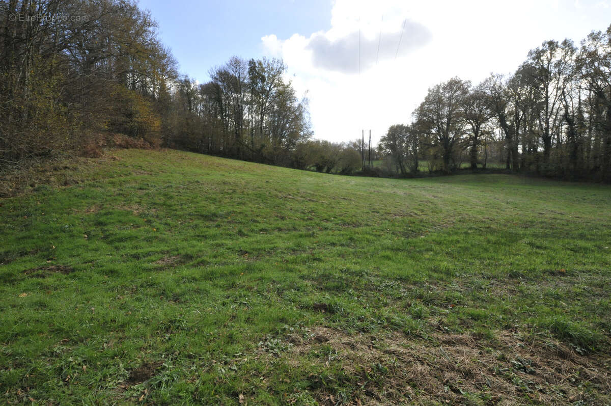 Terrain à VICQ-SUR-BREUILH