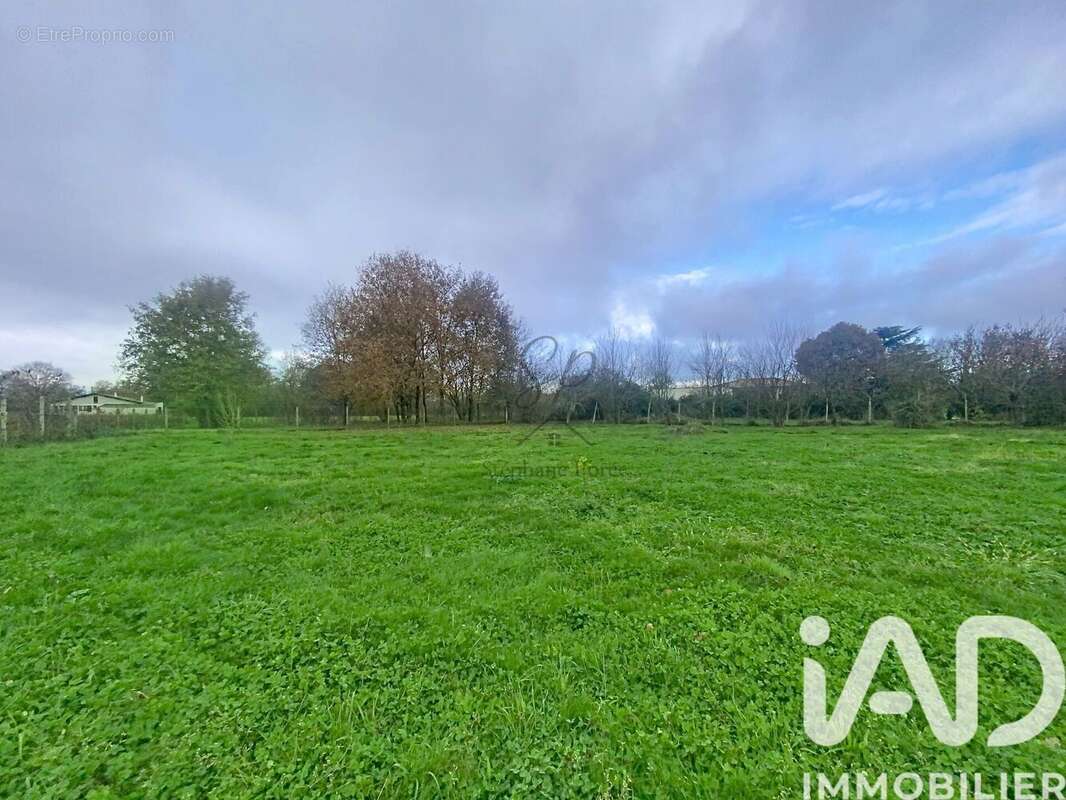 Photo 2 - Terrain à ALBIAS