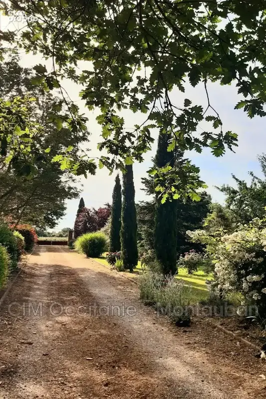 Maison 6 pièces 250 m² à vendre à Garganvillar (82100) - photo 7