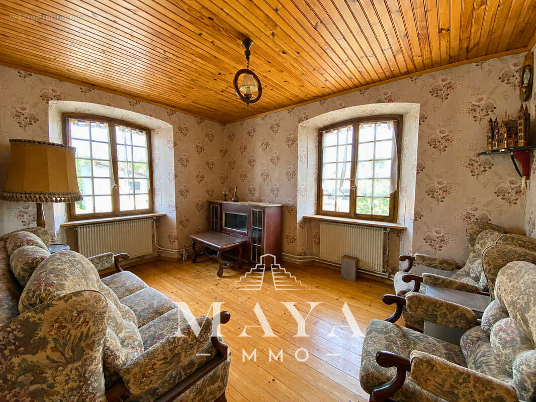 Steinbrunn-Le-Haut, Maison avec dépendance. - photo 13