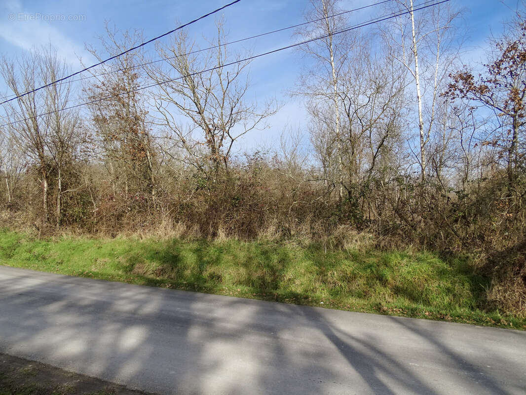 Terrain à VILLEFRANCHE-SUR-CHER