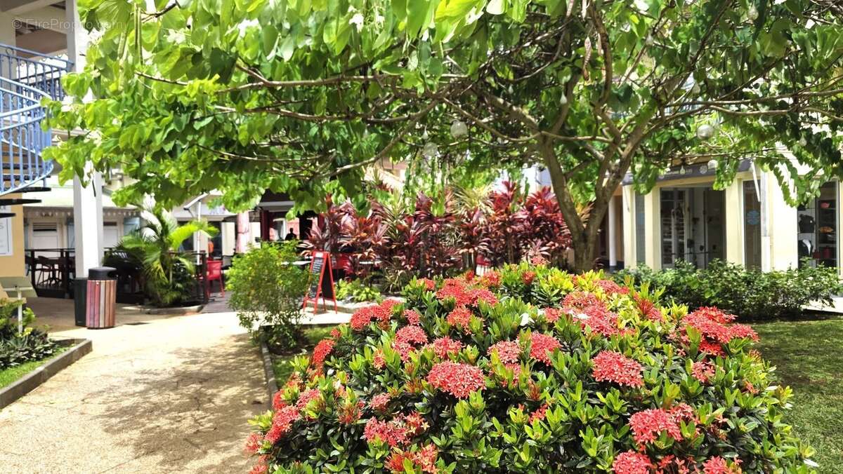 Commerce à LES TROIS-ILETS