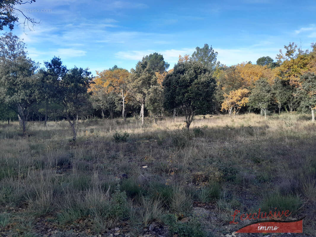 Terrain à BAUDINARD-SUR-VERDON