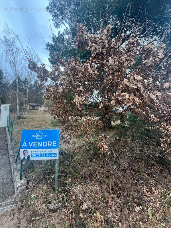 Terrain à OBERHASLACH
