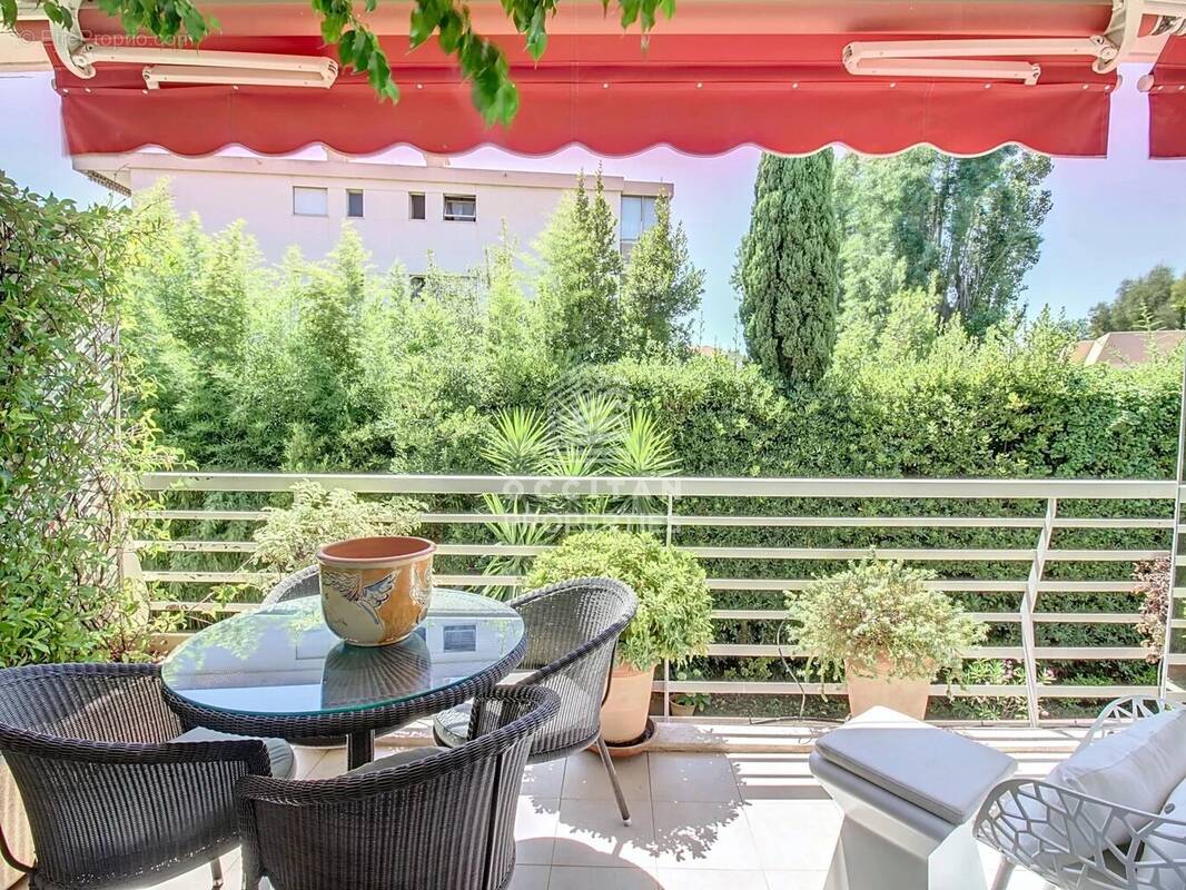 Terrasse 32 m² - 400 mètres de la mer - Calme - Basse Californie, Cannes - photo 8