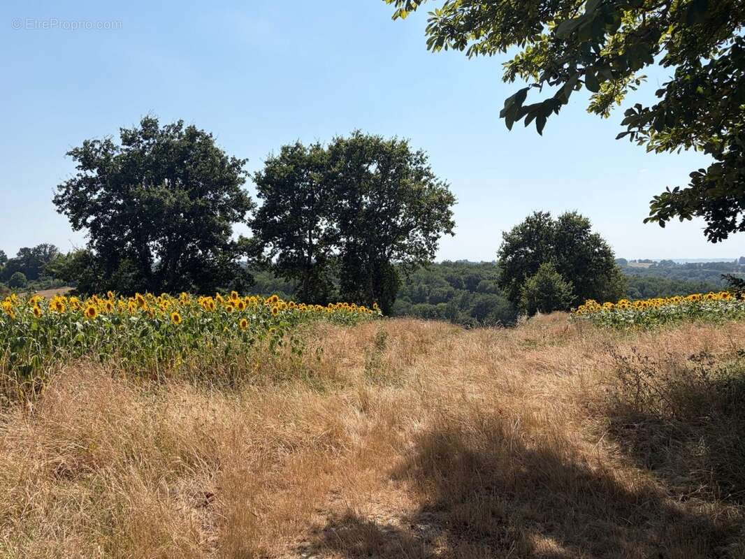 PLAISANCE (32); AUTHENTIQUE MAISON GASCONNE 300M2 dans son jus, un peu cachée, 1HA grandes dependances - photo 13