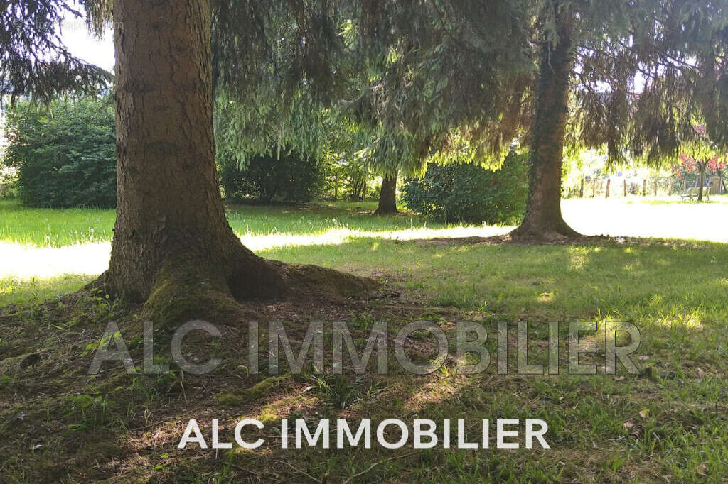 Terrain à SAINT-LEONARD-DES-BOIS