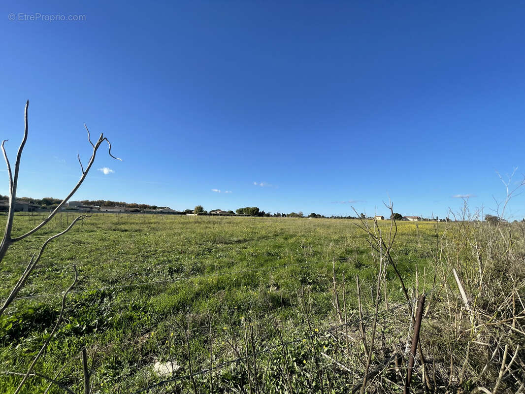 Terrain à MARSILLARGUES