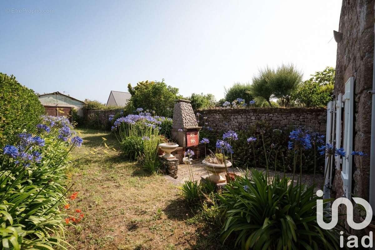 Photo 5 - Maison à NEVILLE-SUR-MER