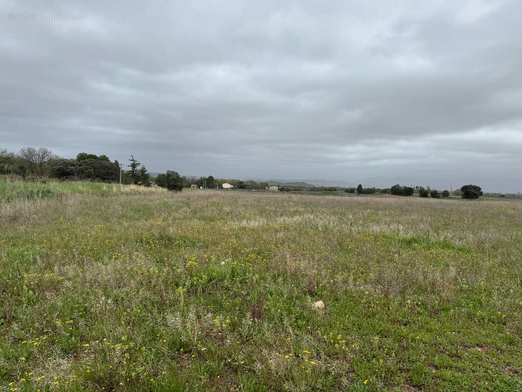 Terrain à SAINT-ANDRE-DE-SANGONIS