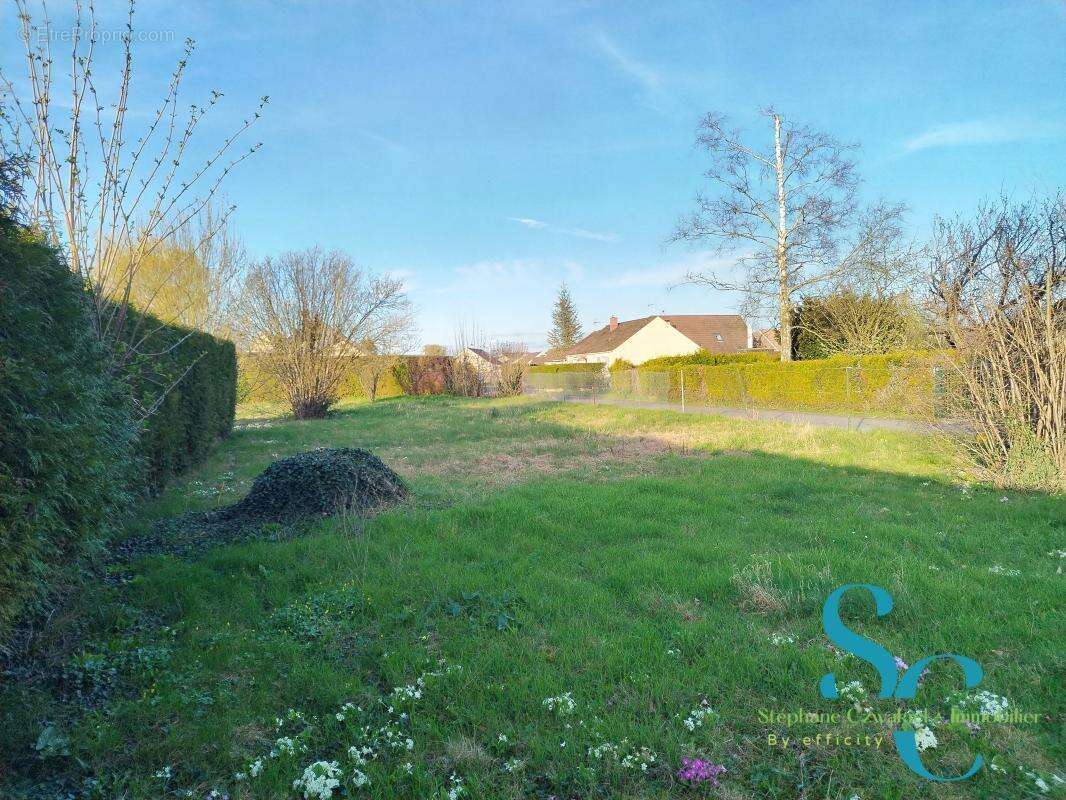 Terrain à WARMERIVILLE