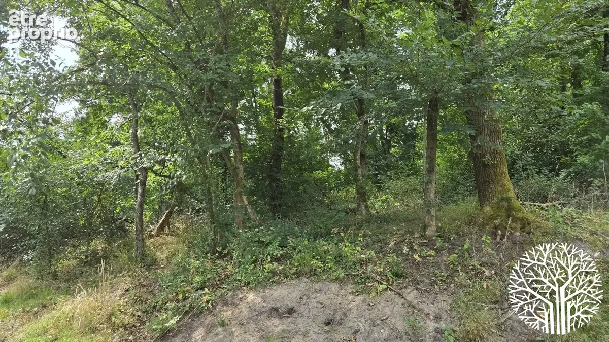 Charmante maison avec un petit coin de forêt ! - photo 14