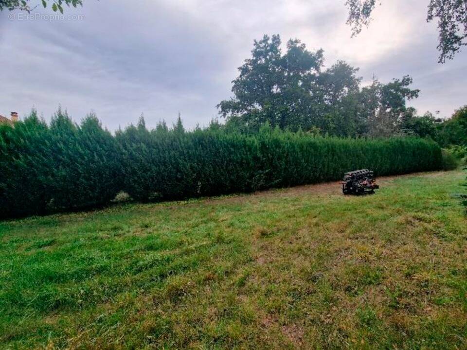 Terrain à MILLY-LA-FORET