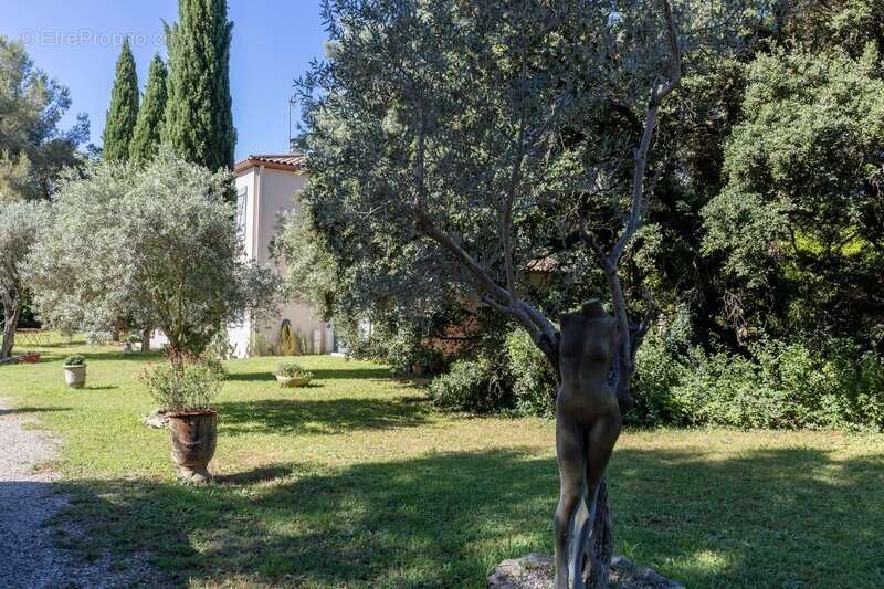Dans le centre de castelnau le lez (34) ,ideal projet familial : magnifique bastide avec jardin et terrains constructibles - photo 19