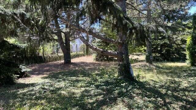 Terrain a 553 m² a anneyron - photo 3