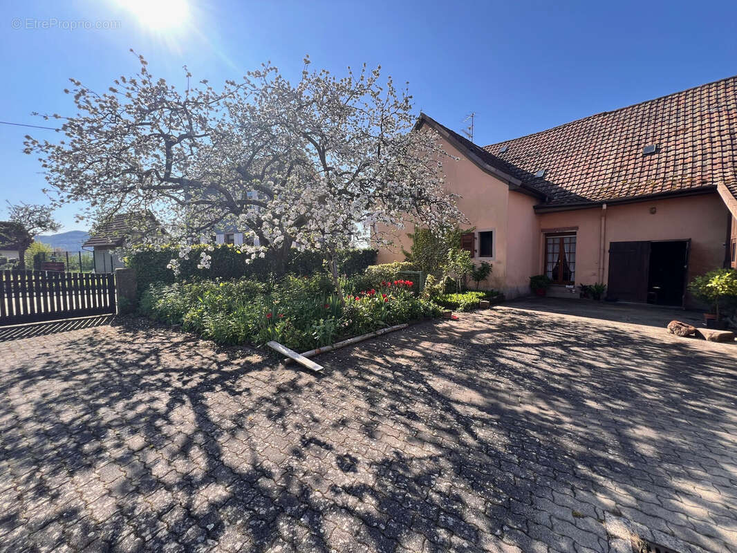 Maison à NEUVE-EGLISE