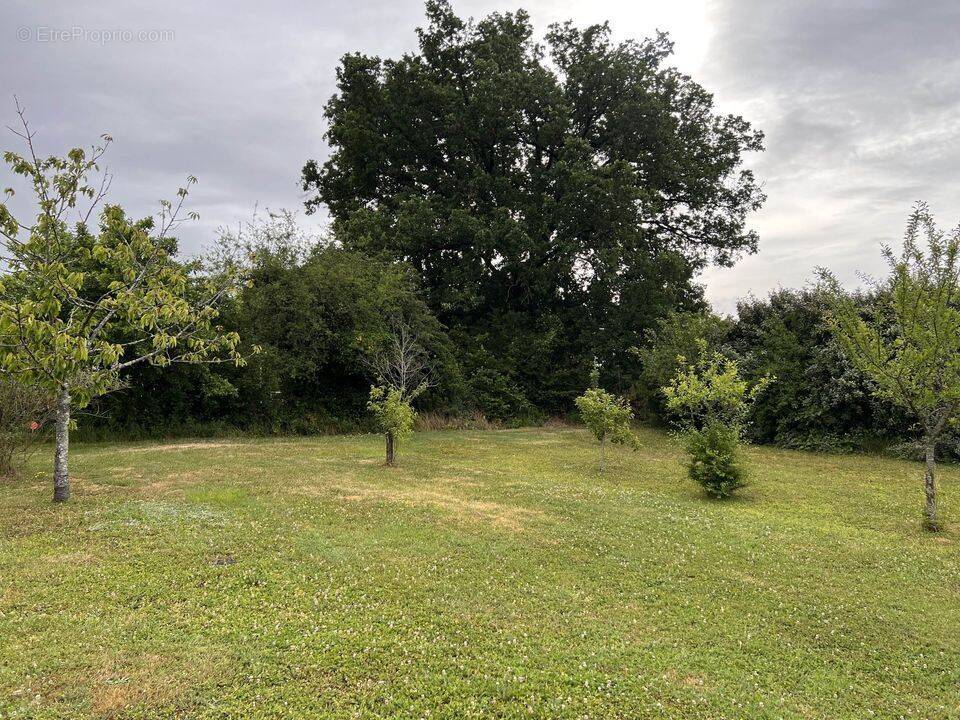 Terrain à NIORT