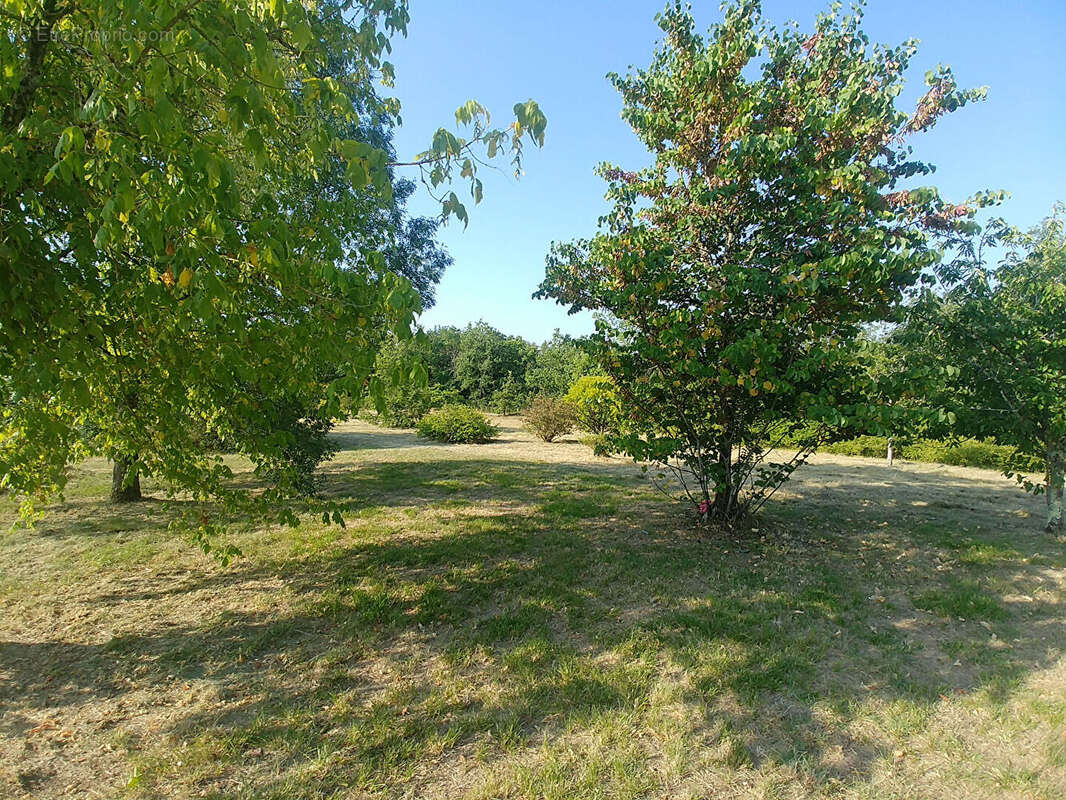 Maison Puylaroque avec vue campagne - Grand terrain et dépendances - photo 9
