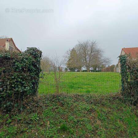 1 n°4 - Terrain à BUIGNY-L'ABBE