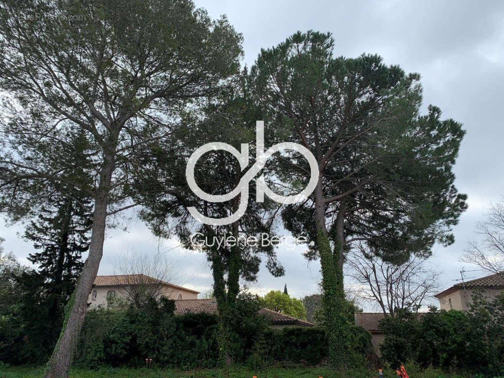 Maison à MONTPELLIER