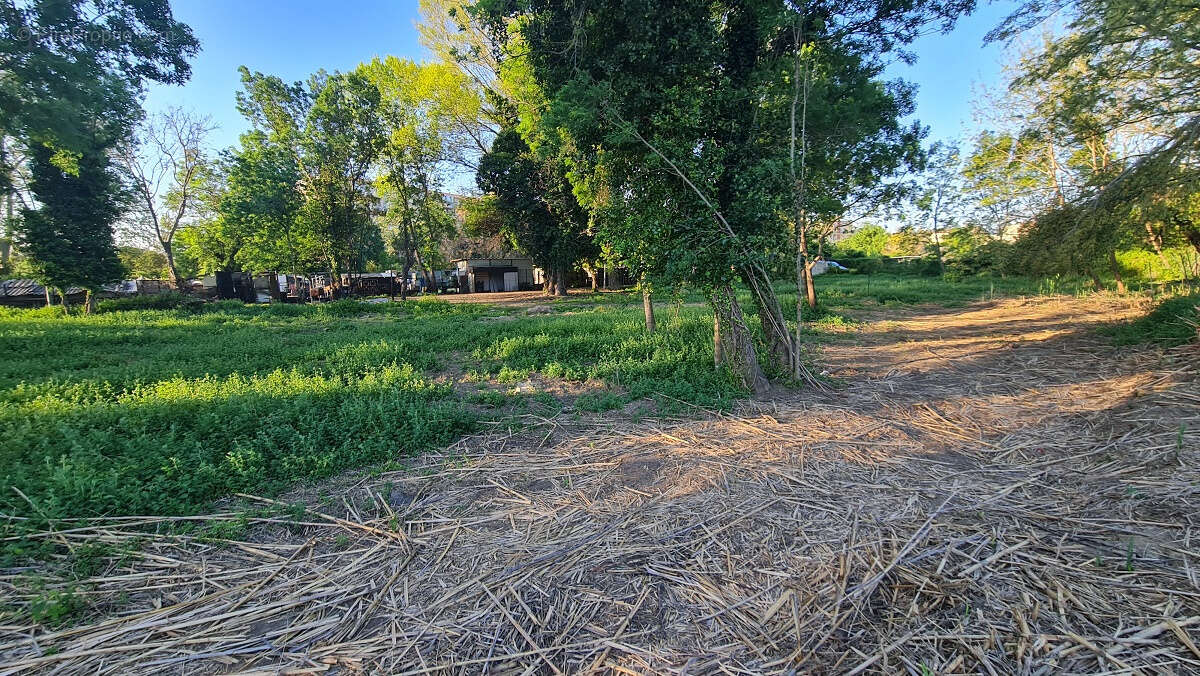 Terrain à PERPIGNAN