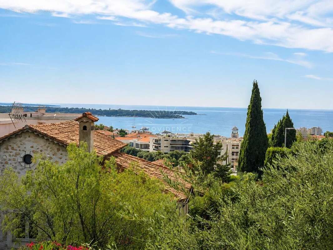 Le Cannet Europe - Villa 266 m², 5 chambres, piscine, jardin plat et vue mer - photo 11