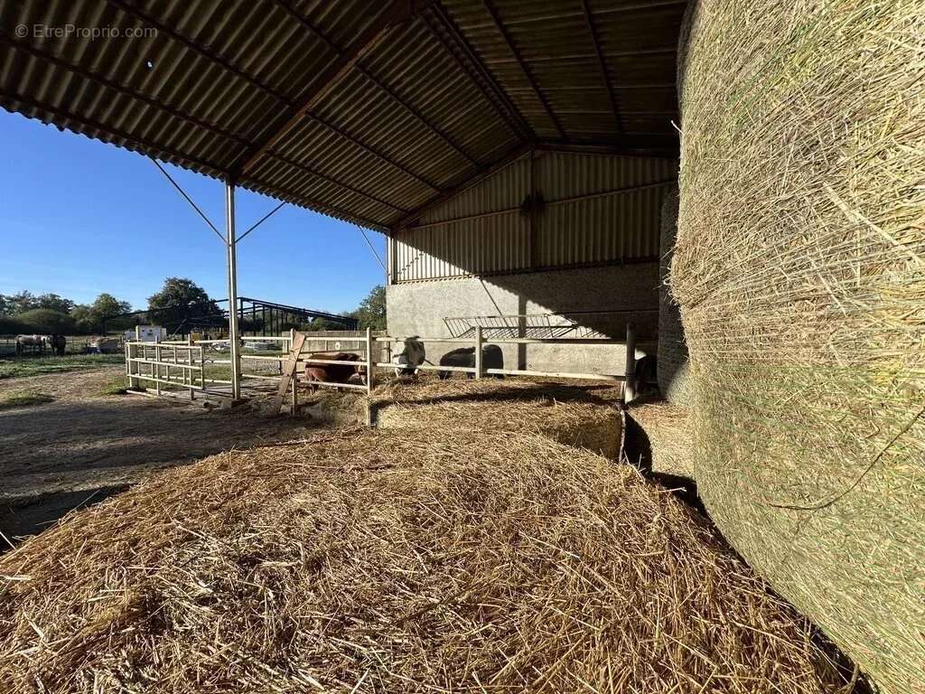 Maison à VILLECOMTAL-SUR-ARROS