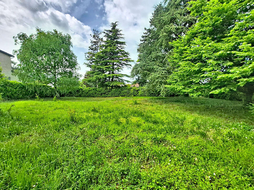 Terrain Charly - photo 2