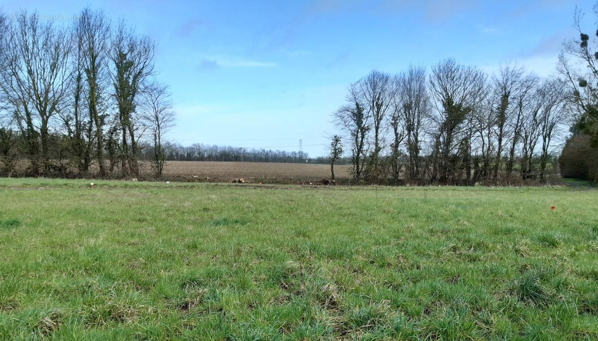 Terrain à POTIGNY
