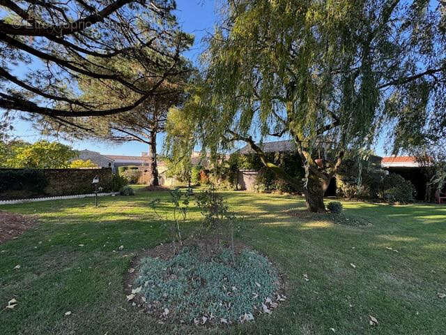 Maison à SAINTE-HERMINE