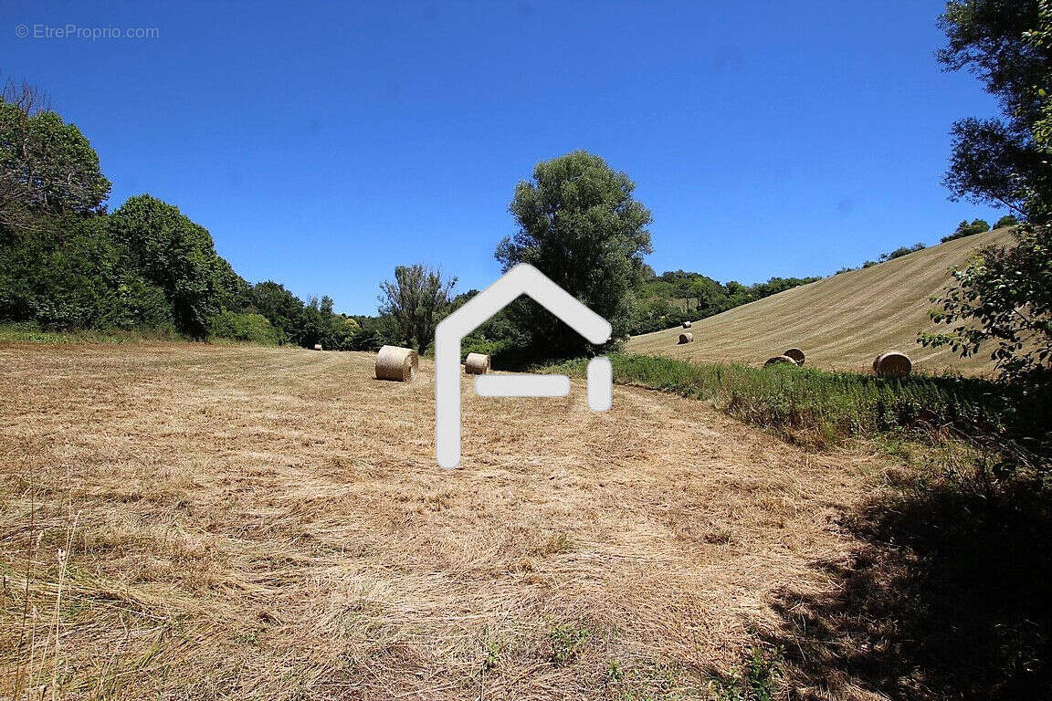 Maison à LEZAT-SUR-LEZE