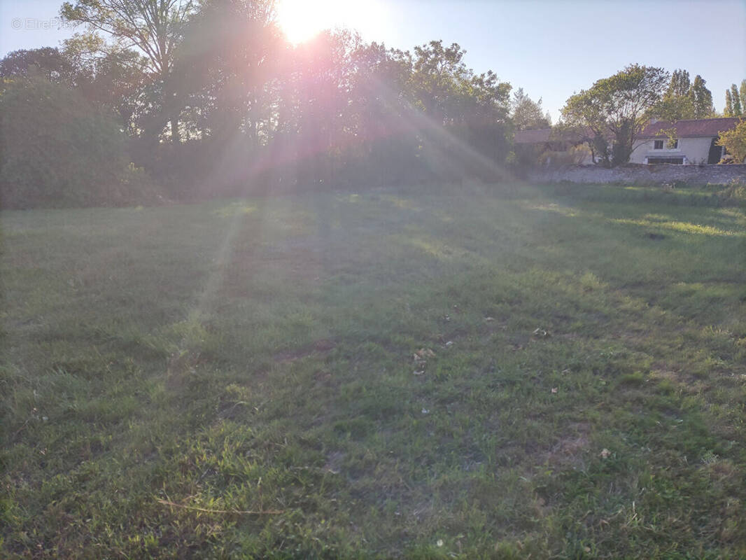 Terrain à LE ROCHEREAU