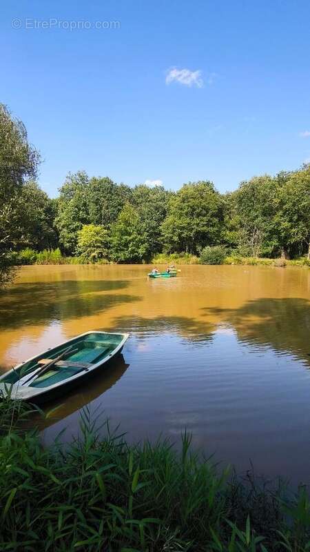 Maison à ROMORANTIN-LANTHENAY