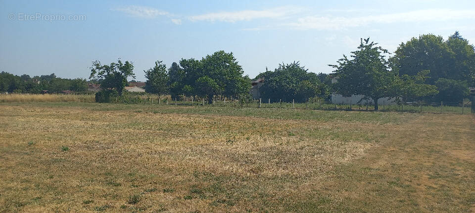 Terrain à SAINT-FRONT-DE-PRADOUX