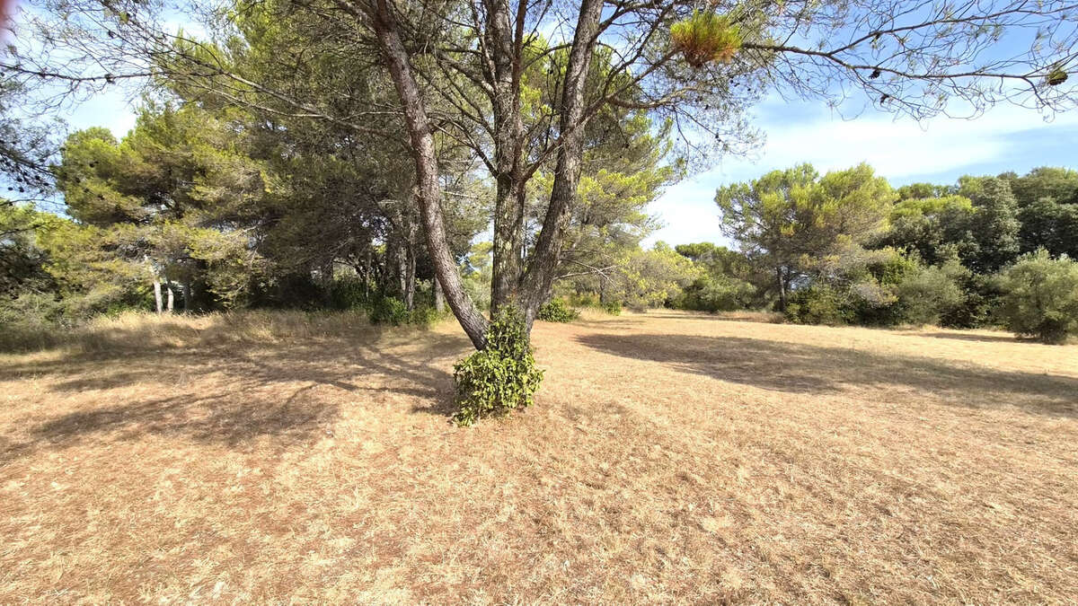 Terrain viabilisé à vendre  ALES (30) - photo 2