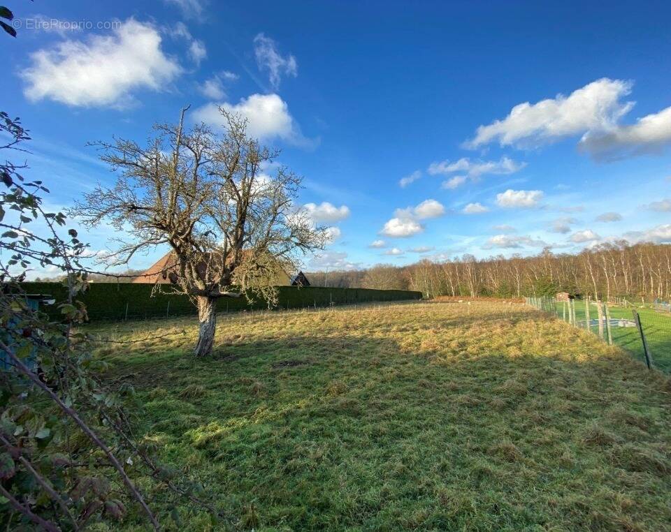 Terrain à BERNAY