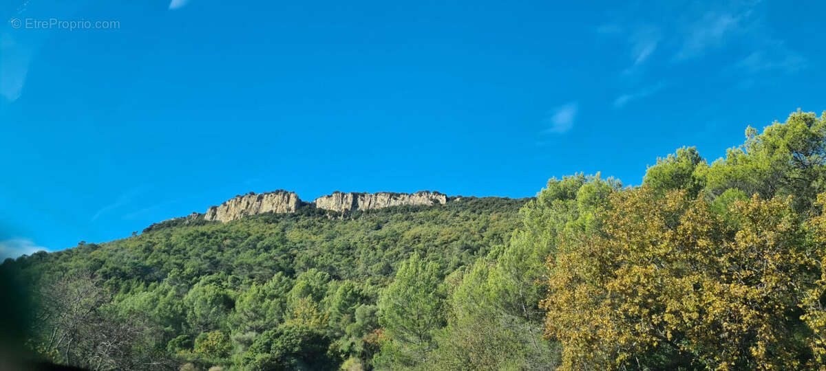 Terrain à CUERS