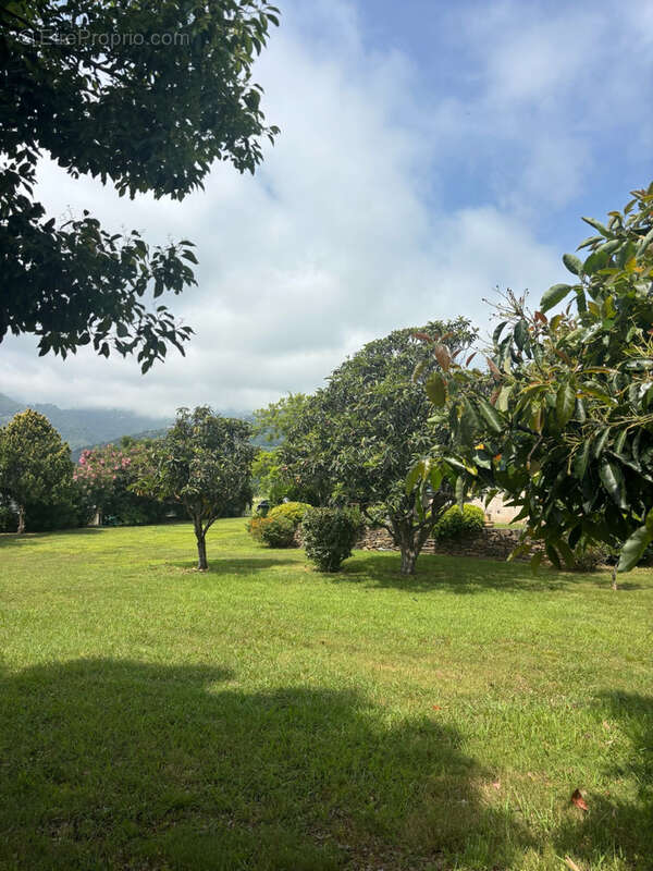 Maison à SANTA-LUCIA-DI-MORIANI