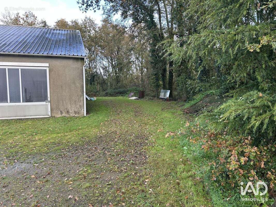 Photo 8 - Commerce à MAUVES-SUR-LOIRE