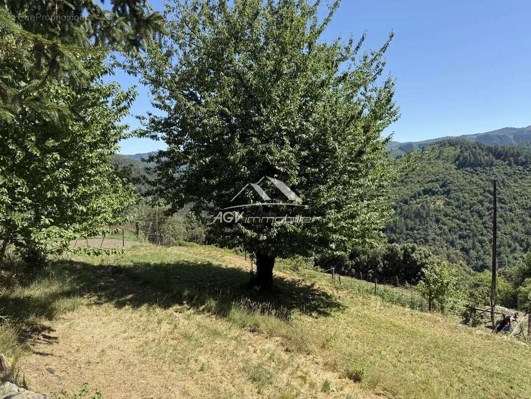 Maison à SAINT-PRIVAT-DE-VALLONGUE