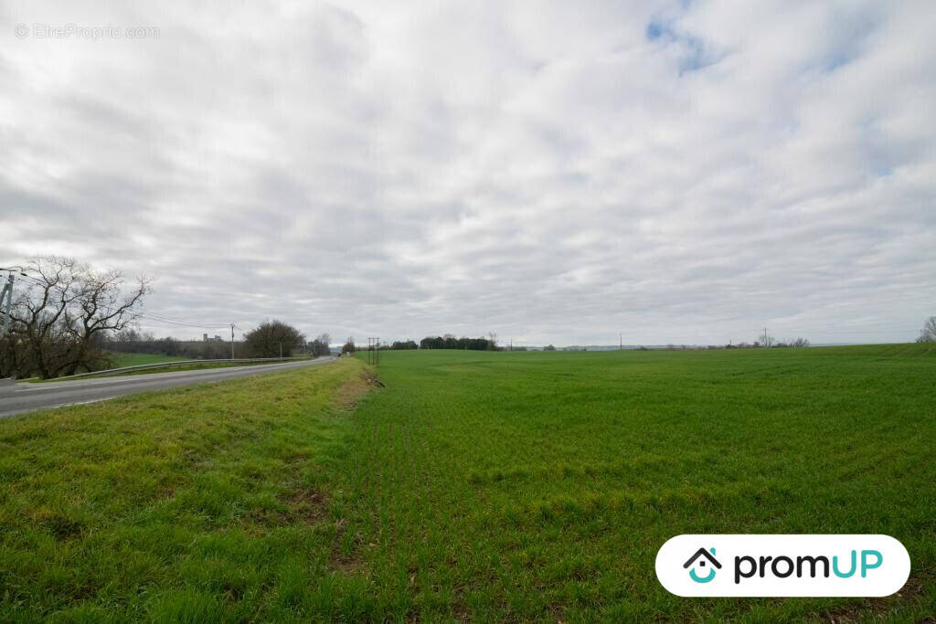 Terrain à SEMPESSERRE