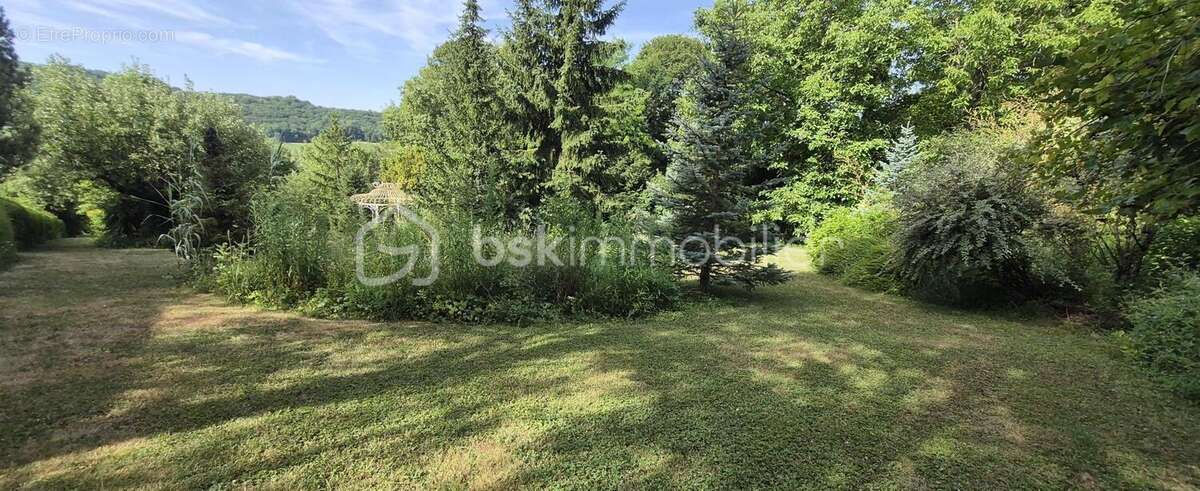 Vente exceptionnelle : votre parcelle de rêve sur le terrain à Villeneuve Sur Bellot ! - photo 2